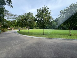 Blk 471 Segar Road (Bukit Panjang), HDB Executive #443078131